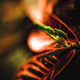 Illustration for article titled Shooting Challenge Freelensing Gallery 1
